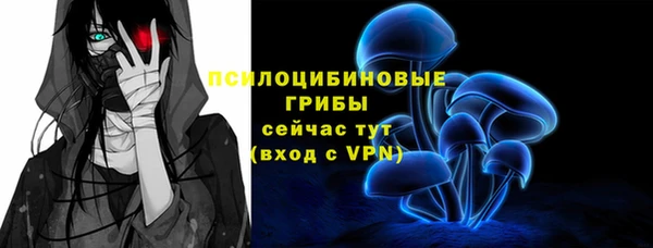 бошки Богородицк