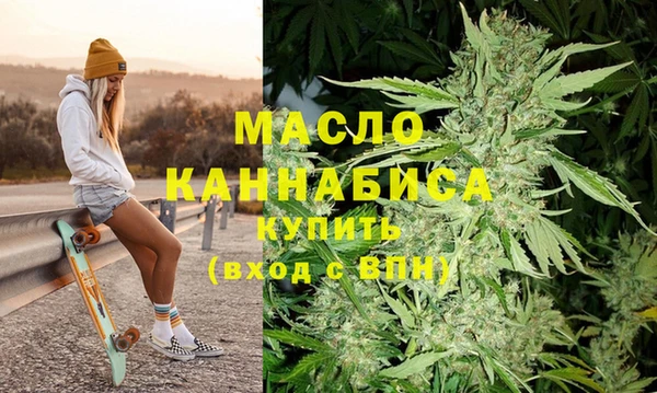 гидра Бородино