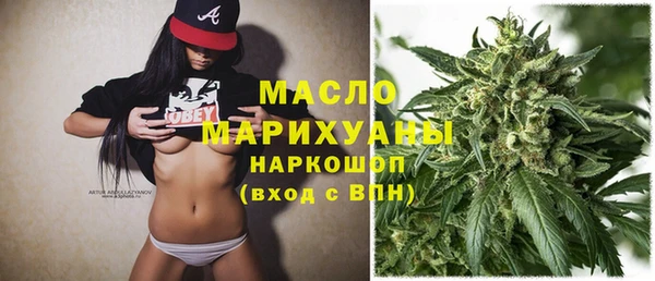 гидра Бородино